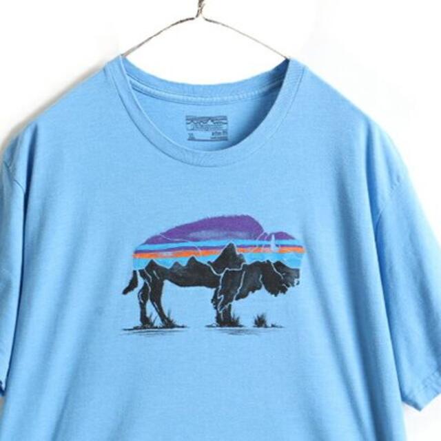 patagonia(パタゴニア)の大きいサイズ XL ■ 17年製 パタゴニア フィッツロイ バイソン プリント  メンズのトップス(Tシャツ/カットソー(半袖/袖なし))の商品写真