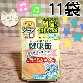 健康缶 シニア猫用 11歳から 11袋 パウチ ペースト 一般食キャットフード(ペットフード)