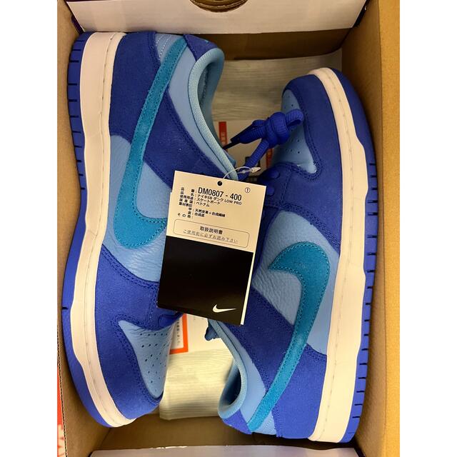 NIKE SB DUNK LOW PRO