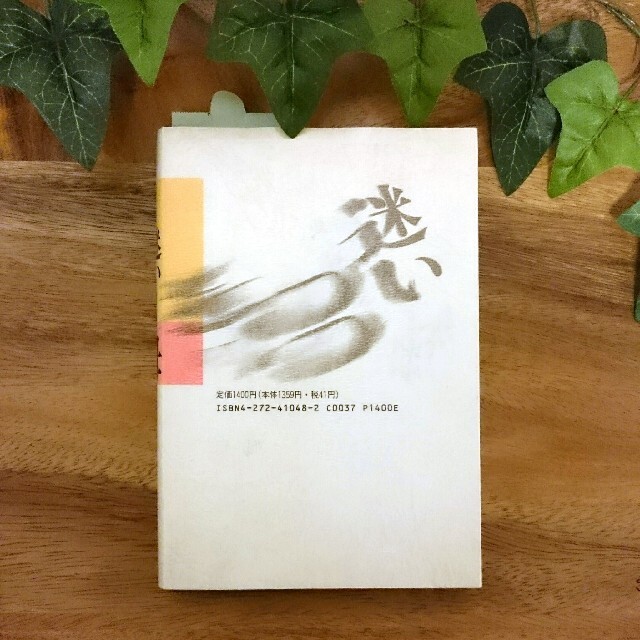 「 迷いつつ母 」 木村栄 大月書店 エンタメ/ホビーの本(住まい/暮らし/子育て)の商品写真