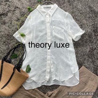 セオリーリュクス(Theory luxe)の★専用★  theory luxe  シアーブラウス(シャツ/ブラウス(長袖/七分))