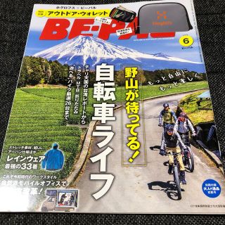 ショウガクカン(小学館)のBE-PAL  ビーパル　2019年6月号 (趣味/スポーツ)