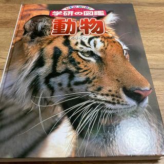 学研の図鑑　動物(絵本/児童書)