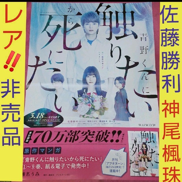 青野くんに触りたいから死にたい 非売品 ポスター 佐藤勝利 神尾楓珠