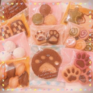 ⑩✴︎手作り肉球フィナンシェ、タルト、クッキー10点詰め合わせセット✴︎(菓子/デザート)