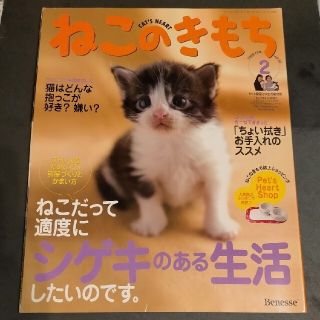 ねこのきもち(生活/健康)