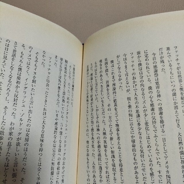 シャーマンブルドッグ エンタメ/ホビーの本(文学/小説)の商品写真