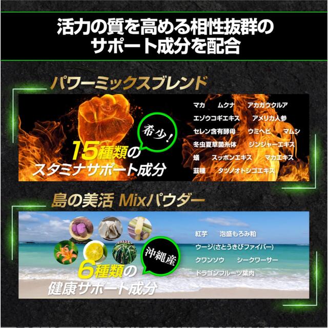 【新品未開封】VITAS ビタパワー VITA POWER スポーツ/アウトドアのトレーニング/エクササイズ(その他)の商品写真