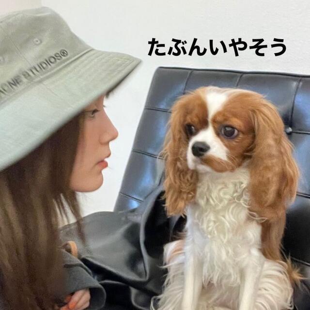本田翼着用 ACNE STUDIOS バケットハット 本田翼着用 ACNE STUDIOS バケットハット