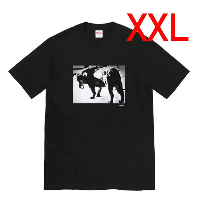 Tシャツ/カットソー(半袖/袖なし)Supreme Daido Moriyama Dog Tee Black