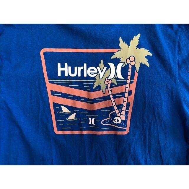 Hurley(ハーレー)の再々々値下げ！HurleyのバックプリントTシャツ メンズのトップス(Tシャツ/カットソー(半袖/袖なし))の商品写真