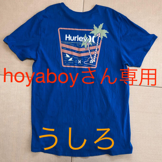 ハーレー(Hurley)の再々々値下げ！HurleyのバックプリントTシャツ(Tシャツ/カットソー(半袖/袖なし))