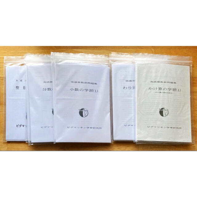 ピグマリオン かけ算わり算小数分数 【国内正規品】 8659円