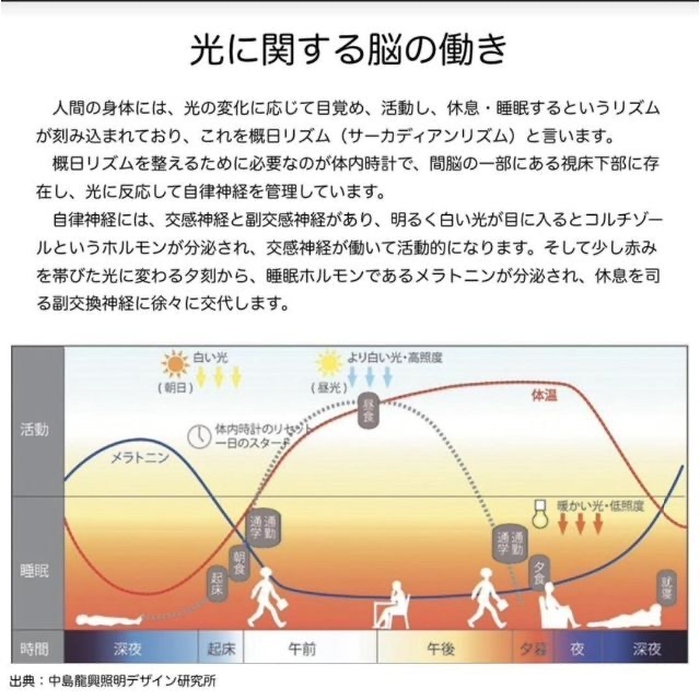 光目覚まし時計  20段階調光 音量調整 FMアラーム ベッドサイドランプ インテリア/住まい/日用品のライト/照明/LED(その他)の商品写真