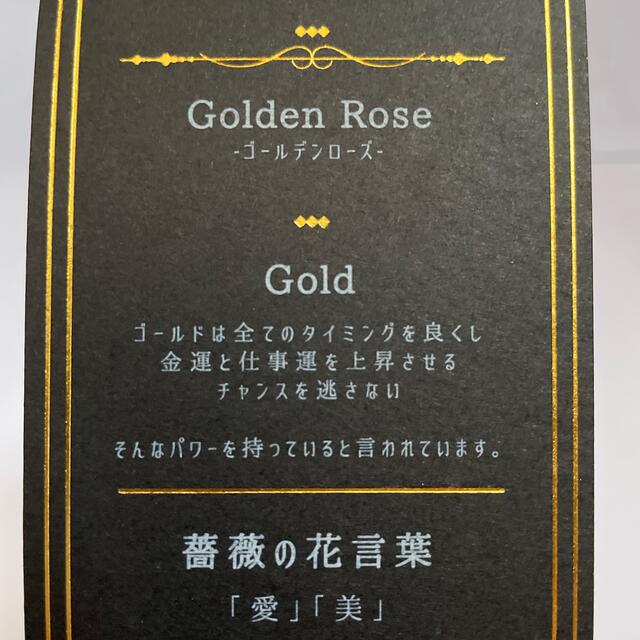 ゴールデンローズ Golden Rose その他のその他(その他)の商品写真