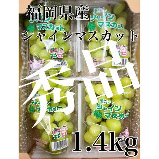 福岡県産【シャインマスカット】秀品4パック約1.4kg！(フルーツ)