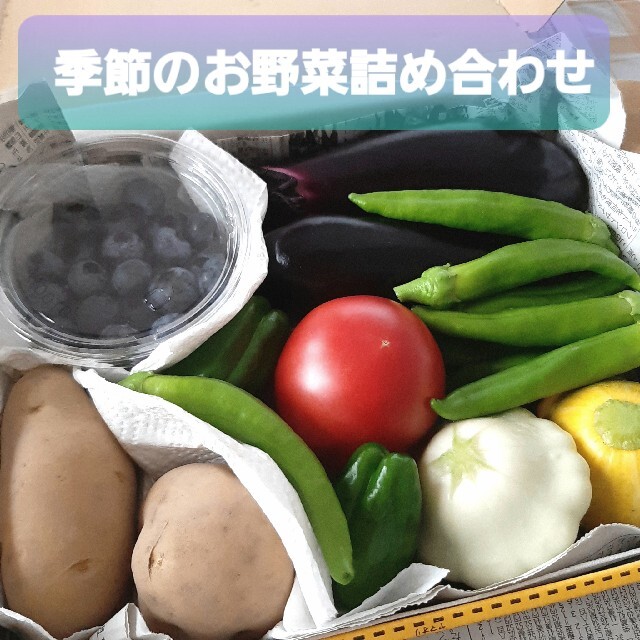 ☆季節のお野菜詰め合わせ☆ 食品/飲料/酒の食品(野菜)の商品写真