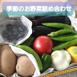 ☆季節のお野菜詰め合わせ☆(野菜)