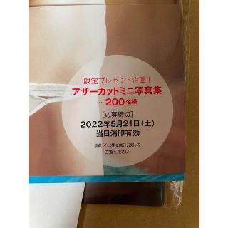 安心の国産製品 雪平莉左 とろける アナザーカット写真集部限定当選