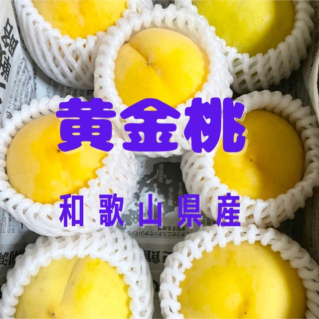 桃  黄金桃  希少  5~8玉  ご家庭用  約1.2kg 食品/飲料/酒の食品(フルーツ)の商品写真