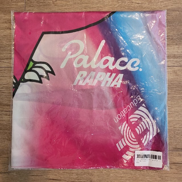 PALACE RAPHA EF SATIN SILK SCARF