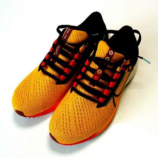 ナイキ(NIKE)のナイキ エア ズーム ペガサス 38 EKIDEN 25cm(シューズ)