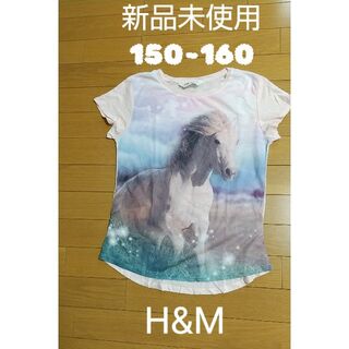 エイチアンドエム(H&M)のH&M ガールズTシャツ  150~160(Tシャツ/カットソー)