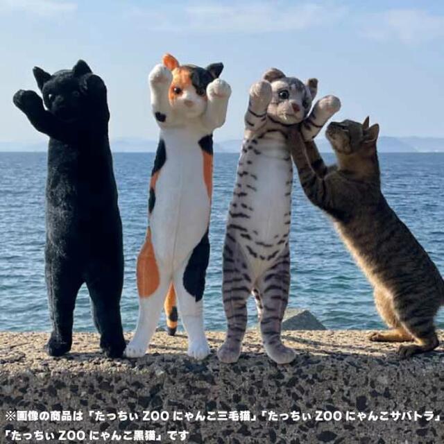 SEGA(セガ)のたっちぃZOO クロネコ エンタメ/ホビーのおもちゃ/ぬいぐるみ(ぬいぐるみ)の商品写真