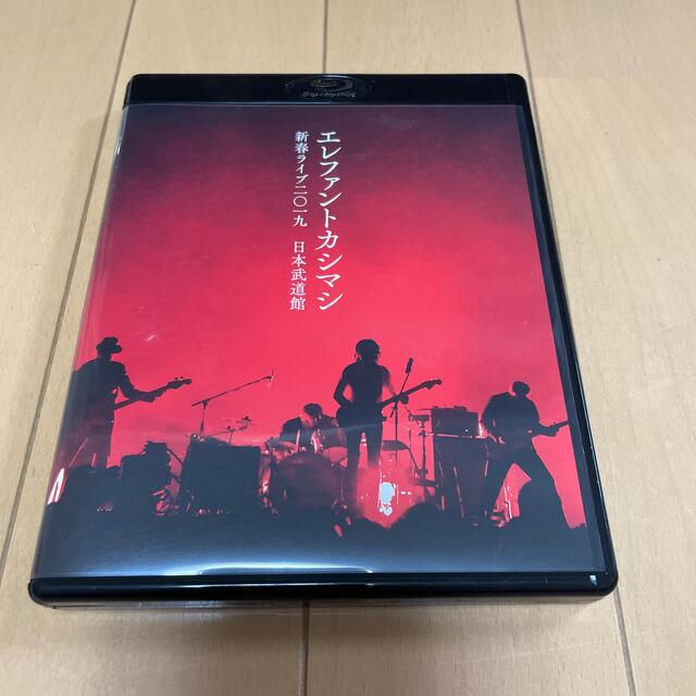 新春ライブ2019日本武道館（Blu-ray初回限定盤） DVD