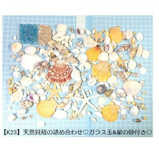 K23】天然貝殻の詰め合わせ 色々MIX♡❇ガラス玉&星の砂付き❇の通販