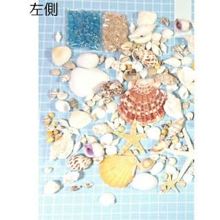 K23】天然貝殻の詰め合わせ 色々MIX♡❇ガラス玉&星の砂付き❇の通販