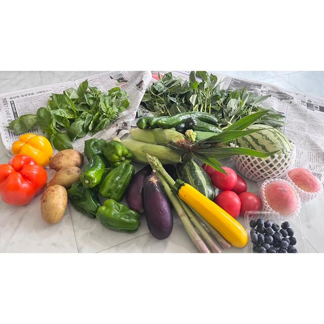 南信州夏のフルーツとお野菜詰め合わせ！パプリカ送り放題付き 食品/飲料/酒の食品(野菜)の商品写真