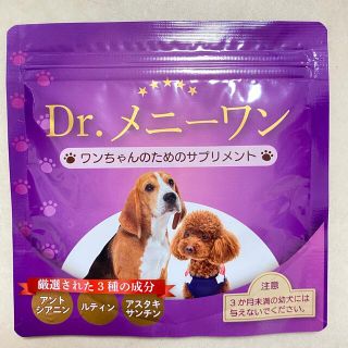 Dr.メニーワン(犬)