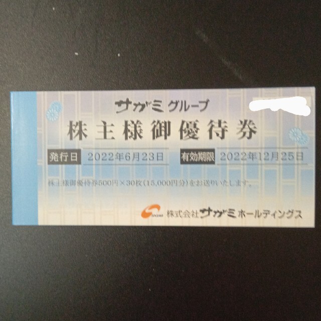 チケットサガミ株主優待15000円分