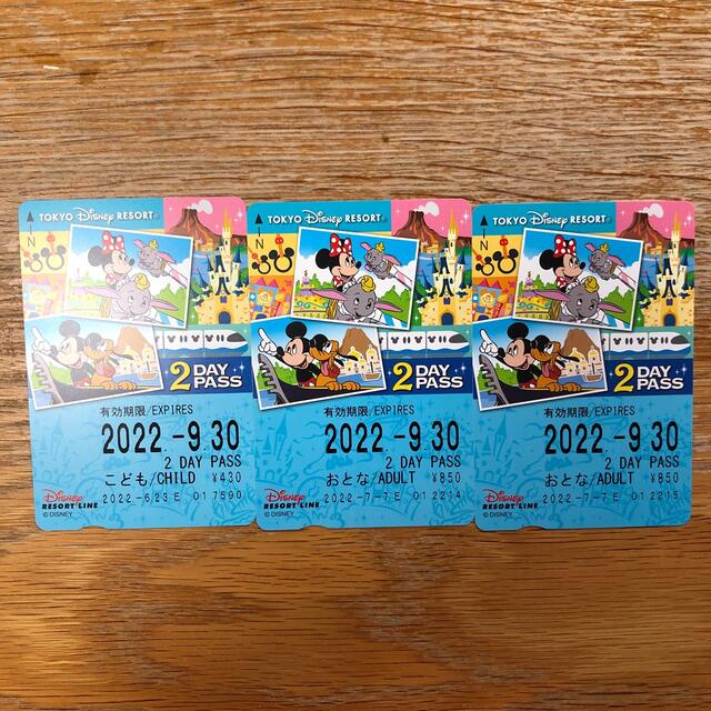 Disney(ディズニー)の【新品未使用】ディズニー　リゾートライン　フリー切符 チケットの施設利用券(遊園地/テーマパーク)の商品写真