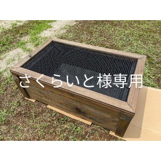 さくらいと様専用(アクアリウム)