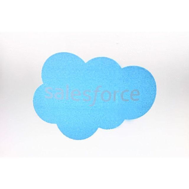 salesforce sales force ノベルティ ウォーターボトル エンタメ/ホビーのコレクション(ノベルティグッズ)の商品写真