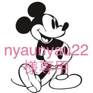 ディズニー(Disney)の【nyaunyau22専用】(チャーム)