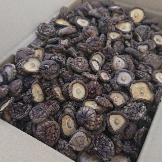 新潟県南魚沼産  ちび干し椎茸750g(乾物)