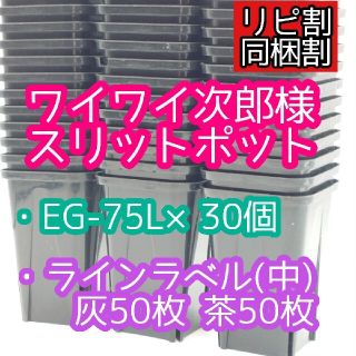 ワイワイ次郎様 スリットポット ラベル(プランター)