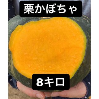 鹿児島県産 栗かぼちゃ8キロ以上(野菜)