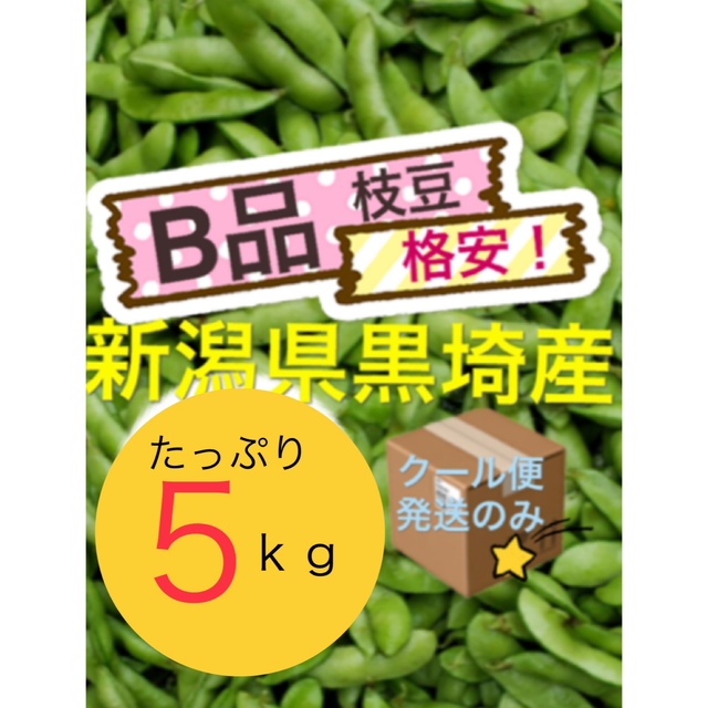 25 8月初旬発送【B品5kg】農家直送 食品/飲料/酒の食品(野菜)の商品写真