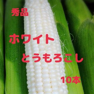 秀品 ホワイトとうもろこし(10本)(野菜)