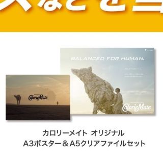 米津玄師×カロリーメイト꙳☆*゚A3ポスター&A5クリアファイルの通販 by