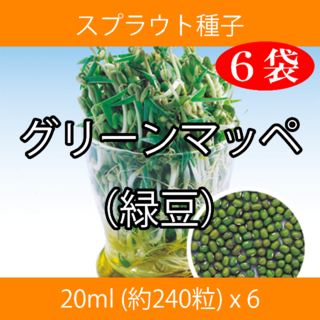 スプラウト種子 S-17 グリーンマッペ（緑豆） 20ml 約240粒 x 6袋(野菜)