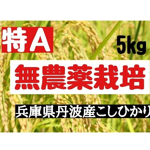 兵庫県丹波産こしひかり玄米10kg✕2袋(令和3年産)