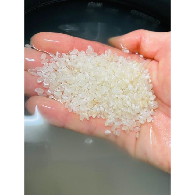 特別栽培米　福岡県産米『夢つくし』　10kg 【玄米専用】令和3年産　新米