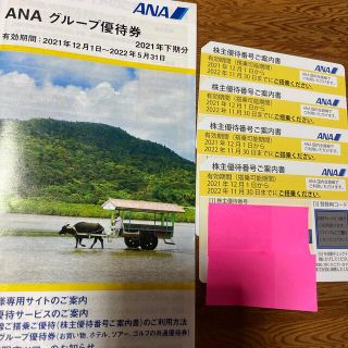 エーエヌエー(ゼンニッポンクウユ)(ANA(全日本空輸))のANA株主優待(黄色)4枚セット(その他)