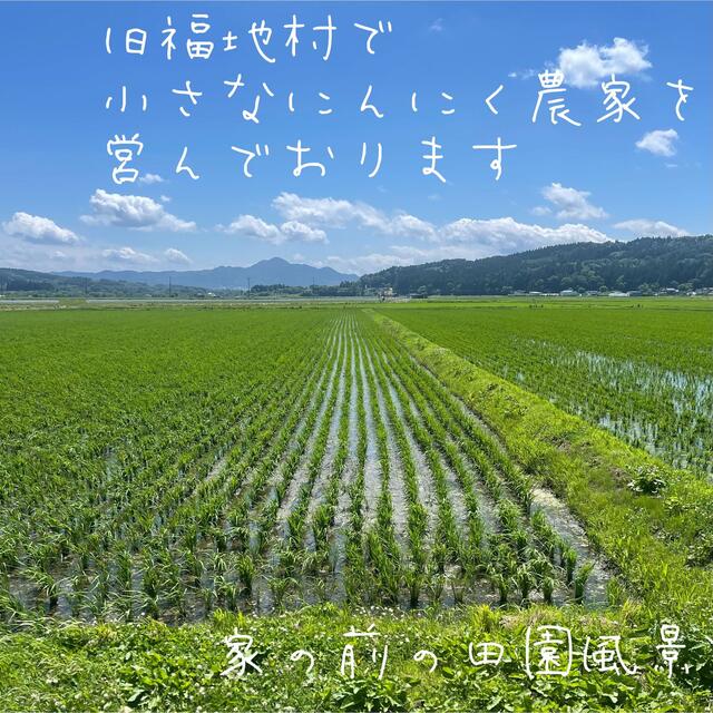 青森県福地村産　福地ホワイト　土付き　2kg 乾燥にんにく　青森県産　 食品/飲料/酒の食品(野菜)の商品写真