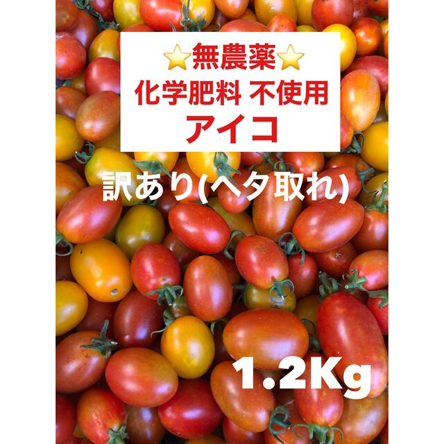 ⭐︎無農薬⭐︎ ミニトマト　アイコ（訳あり） 食品/飲料/酒の食品(野菜)の商品写真